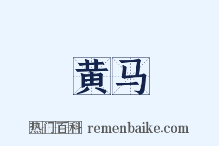 黄马是什么意思的图片